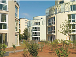 Dreherstraße: Niedrigenergiehaus Mango